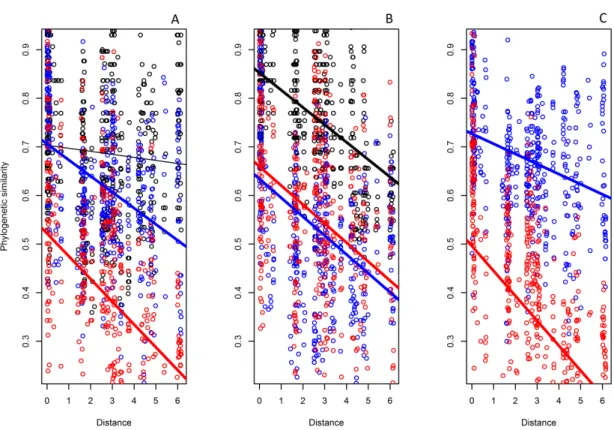 Figure 5. Distance decay in phylogenetic similarity of Neotropical stream aquatic  insects using three traits linked to dispersal