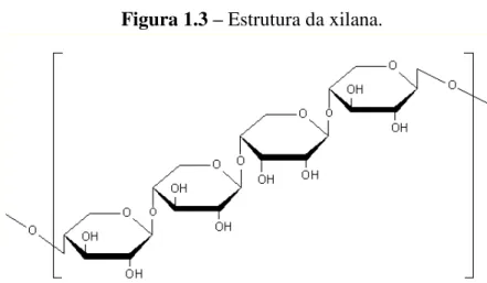 Figura 1.3 – Estrutura da xilana. 