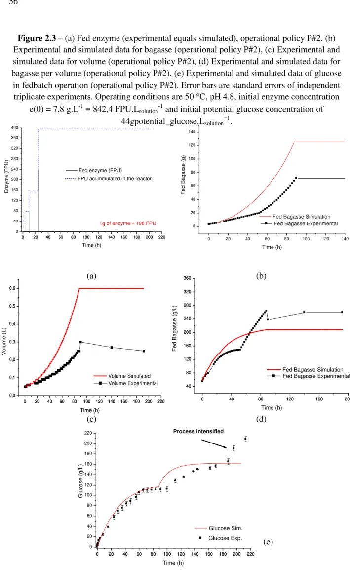 Figure 2.3  –  (a) Fed enzyme (experimental equals simulated), operational policy P#2, (b)  Experimental and simulated data for bagasse (operational policy P#2), (c) Experimental and  simulated data for volume (operational policy P#2), (d) Experimental and