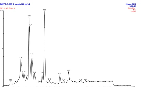 FIGURA 4.6 Cromatograma de íons totais no modo scan positivo, amostra SMET  F.O. 003 B, extrato 500 µg/mL