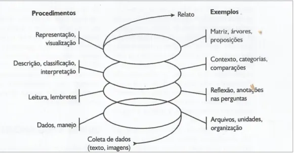 Figura 1 - Espiral da análise dos dados 