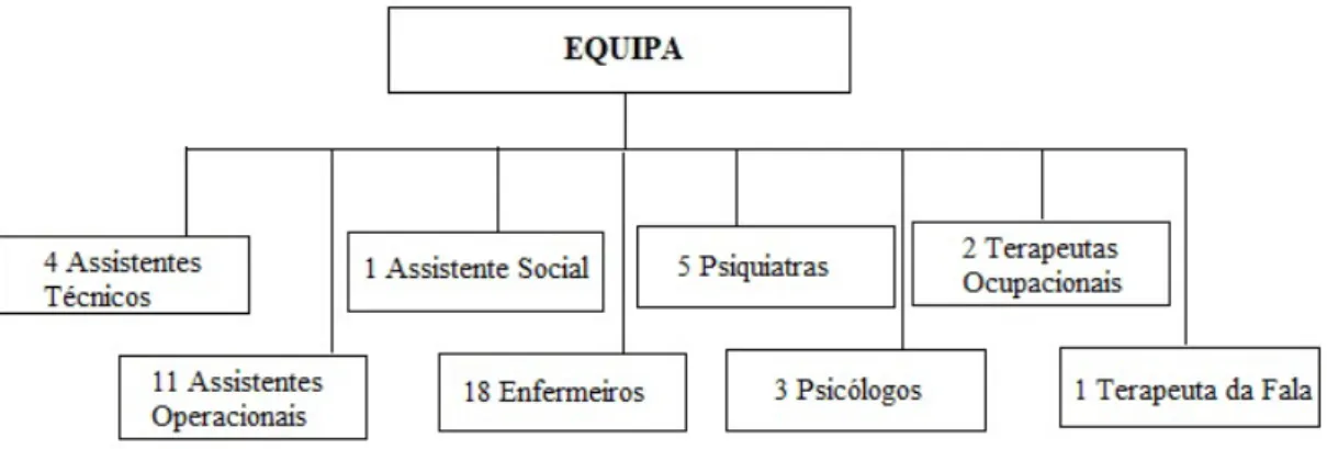 Figura 1 - Organograma do Departamento de Psiquiatria e Saúde Mental  2.4 – CARATERIZAÇÃO DAS PROBLEMÁTICAS DA POPULAÇÃO 