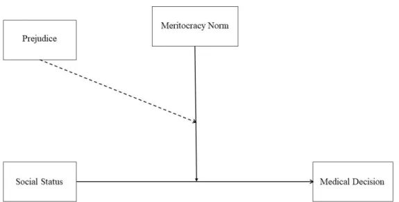 Figure 1. Proposed relations between social status, prejudice and meritocracy in   medical decision-making