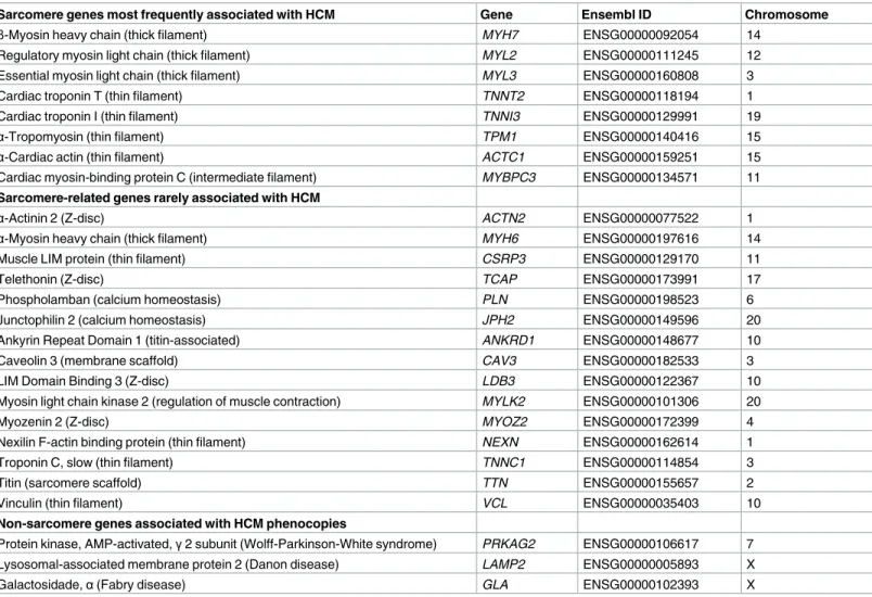 Table 1. Name of the genes analyzed, Ensembl accession number, and chromosomal position.