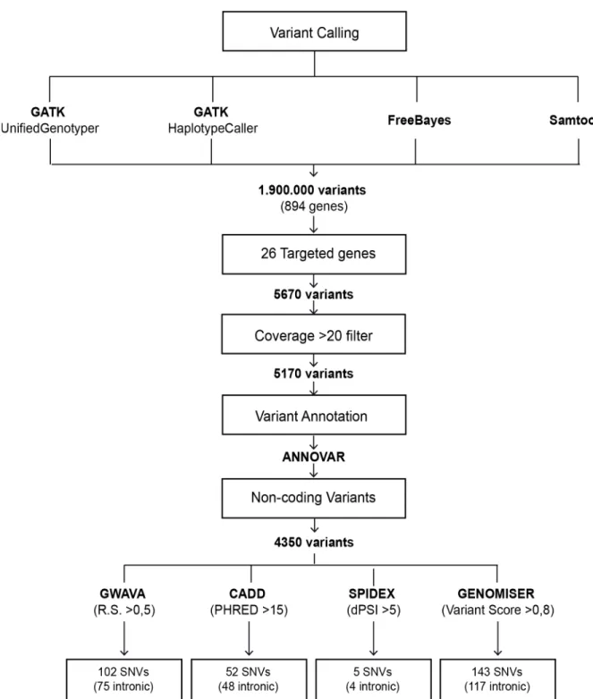Fig 1. Flowchart of noncoding data analysis. Variants that were independently selected by at least two tools and presented a read depth of 20 or more in the 26 targeted genes were annotated with ANNOVAR