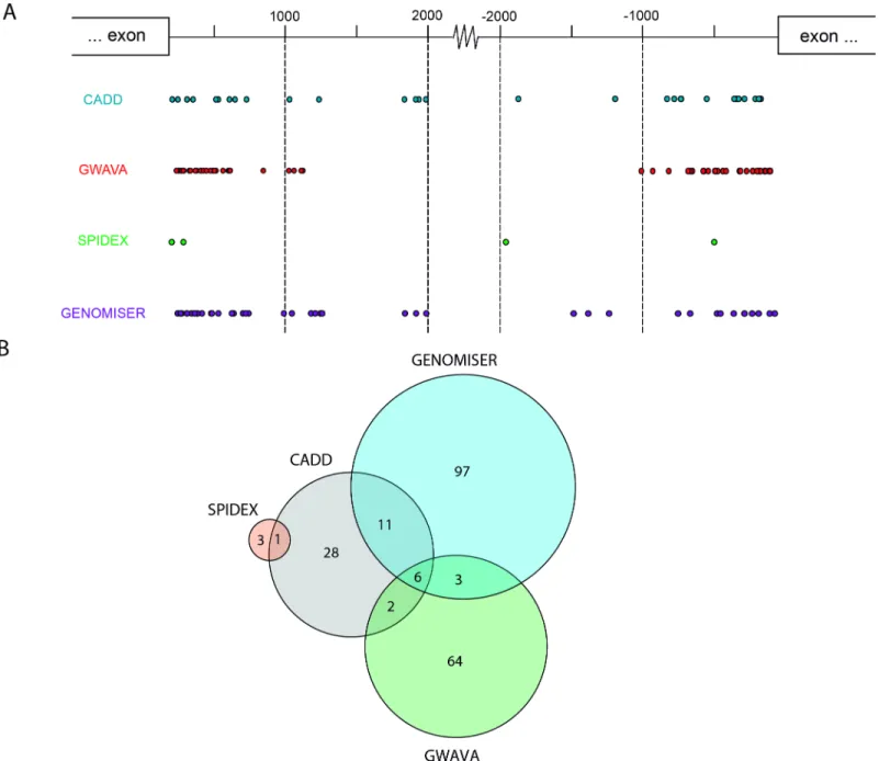 Fig 2. Assessment of intronic variants. A) Schematic diagram depicting the position of intronic variants prioritized by each prediction tool