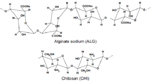 Figure 4 - Alginate and Chitosan structures [8]. 