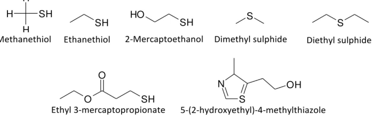 FIGURE 2E.13 – Some examples of sulphur-containing compounds encountered in wines. 