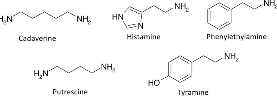FIGURE 2A.2 – Most common biogenic amines present in wines. 