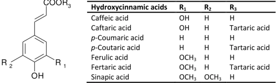 FIGURE 2B.2  –  Chemical structures of hydroxycinnamic acids most common in wines. 