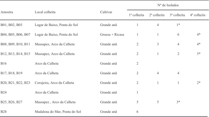 Tabela 1- Número de isolados de Pratylenchus goodeyi obtidos a partir de 28 amostras de solo e raízes de  bananeira