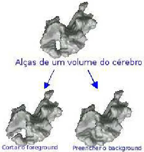 Figura 2.2: Alça feita a partir de um volume da substância branca do cérebro humano e o resultado da aplicação da técnica do corte desta alça e do preenchimento do ofício.