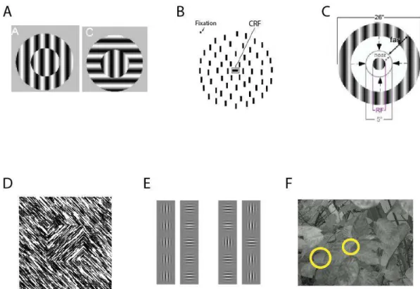 Figure 10. Context stimulation examples. (A) Gratings with phase contrast (left) and orientation 