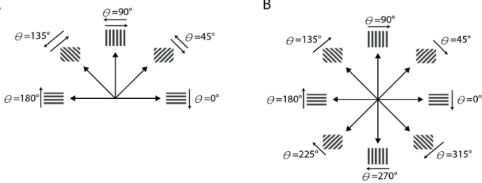 Figure  16.  Correspondence  between  stimulus  conditions  and  angles.  (A)  Angles  for  OI 