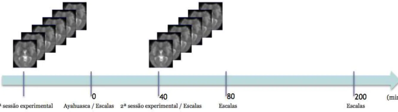 Figura 10  – Protocolo experimental. Duas sessões experimentais foram realizadas no mesmo dia