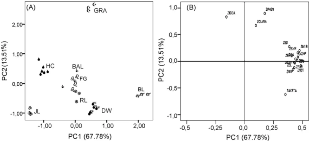 Fig. 6. PC1 vs. PC2 scatter plot of the main sources of variability between different whiskeys: (A) distinction between the samples (scores) and (B) relation between the 22 volatile compounds (loading)