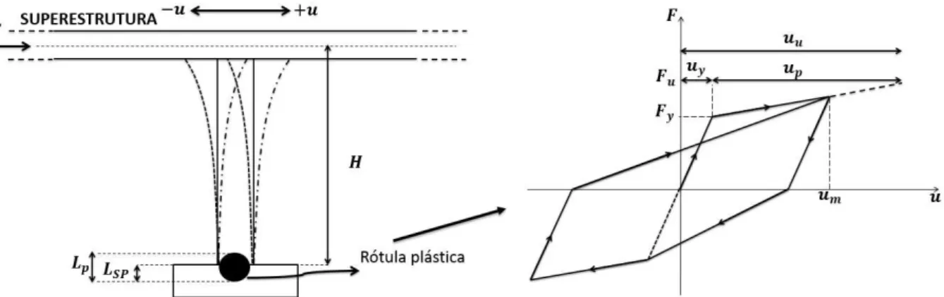 Figura 3.6 – Resposta longitudinal de uma ponte (a) e histerese de uma coluna (b) (Priestley et al., 2007) 