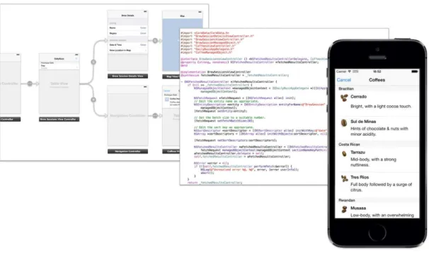 Figure 3.16- iOS Development overview [32] 