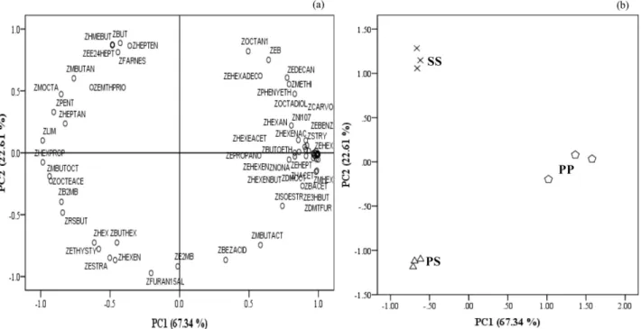 Figure 8. PC1 and PC2 scatter plot of the main sources of variability between apple fruit samples