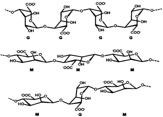 Figure 2. Structure of the  β –D-mannuronic acid (M block) and  α –L-guluronic acid (G block) residues,  and the alternating blocks in alginate (adapted from reference 34)