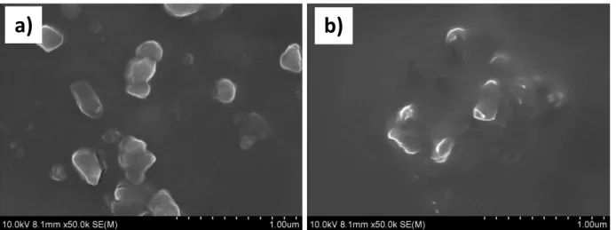 Figure  6.  Scanning  electron  microscope  (SEM)  images  of  the  AG/Cys  (a)  and  AG/Cys-Dox  (b)  nanogels