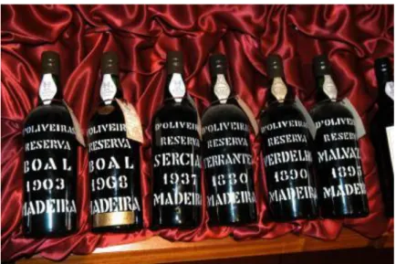 Figura 9 - Castas de vinho Madeira (Associação de Municípios do Vinho)