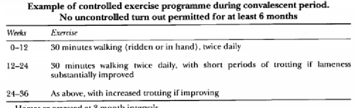 Tabela II. Exemplo de programa de exercício controlado durante o período de convalescença (Adaptado de Dyson 1994)