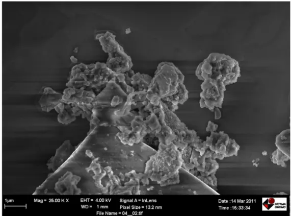 FIGURA 7: Micrografia da resina calcinada à 350ºC – 30 minutos – (2:1:1). 