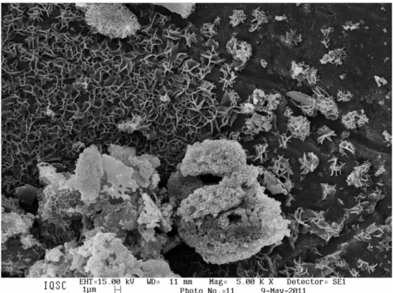 FIGURA 9: Micrografia da resina calcinada à 1000 ºC – 12 horas – (2:1:1). 