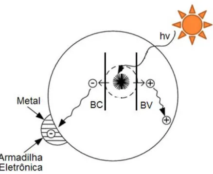 FIGURA  1.  3  -  Mecanismo  fotoeletroquímico  de  excitação,  que  ocorre  quando  um  metal é incorporado à estrutura de um semicondutor  15 