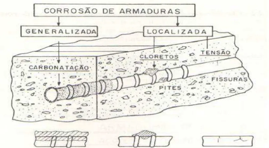 Figura 23: Morfologia da corrosão por carbonatação, tensão e íons cloreto  – Fonte:  Andrade (1992)