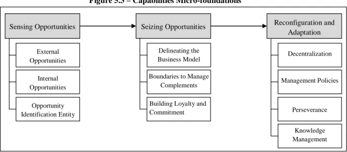 Figure 5.3 – Capabilities Micro-foundations 