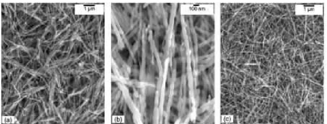 Figura  3.7  -  Imagens  obtidas  por  MEV  de  nanofibras  de  cobre  obtidas  por  eletrodeposição utilizadas neste trabalho [5]