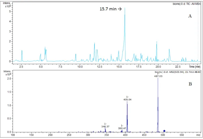 FIGURA 4.42 – Análise por LC-MS, (-) ESI-MS/MS do extrato Ac da biotransformação  do  6-gingerol-3D  (2’)  mostrando  o  padrão  de  fragmentação  para  m/z  503  em  15,7  minutos