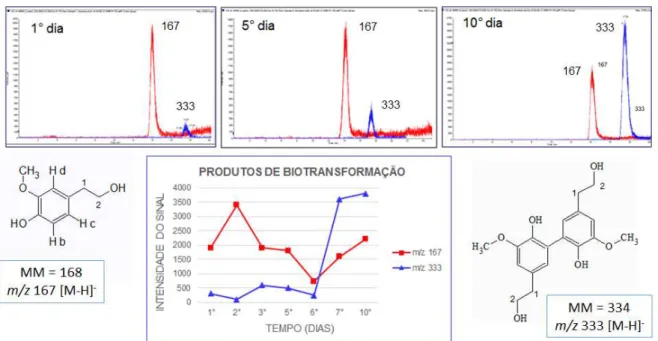FIGURA 4.31 – Análise por SRM das transições m/z 167 →93 e m/z 333→215 de sete  pontos do experimento de biotransformação