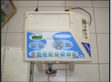 Figura 03: Eletroestimulador utilizado no experimento (Ibramed, Indústria Brasileira de Equipamentos  Médicos, Brasil)