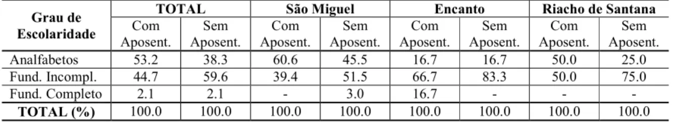 Tabela 18: Grau de escolaridade do chefe das famílias pesquisadas (%) – Microrregião Serra de São Miguel R