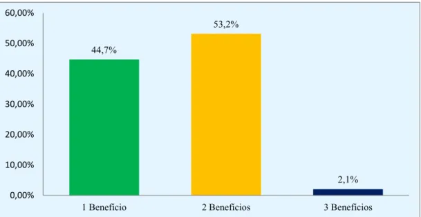 Gráfico 5: Quantidade de beneficiários por domicílio nas famílias pesquisadas – Microrregião Serra de São Miguel R .