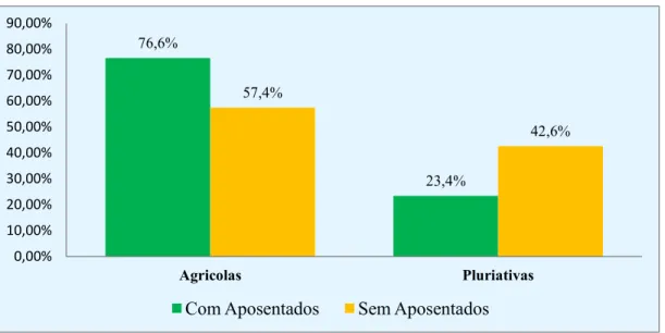 Gráfico 6: Distribuição das famílias rurais pesquisadas segundo a ocupação dos membros (%) em 2010 – Microrregião Serra de São Miguel R .
