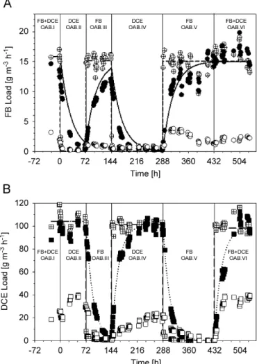 Fig. 4. Evolution of the FB and DCE inlet and outlet loads in the OAB system during the SAP experiment