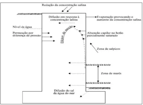 Figura 31 - Mecanismos de transporte numa estrutura de betão em ambiente marítimo (Amaral,  2012)