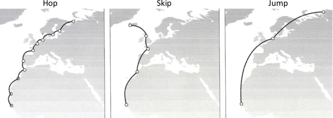 Figure  1.2.  Main  migratory  strategies  of  waders  travelling  from  their  wintering  grounds,  in  Western  Africa, to breeding areas, in Northern Europe (adapted from Piersma 1987)