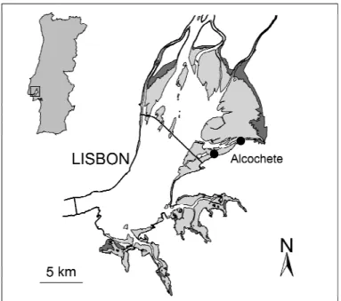 Figure 2.1. Map of the  Tagus estuary, showing the location of the study area. 