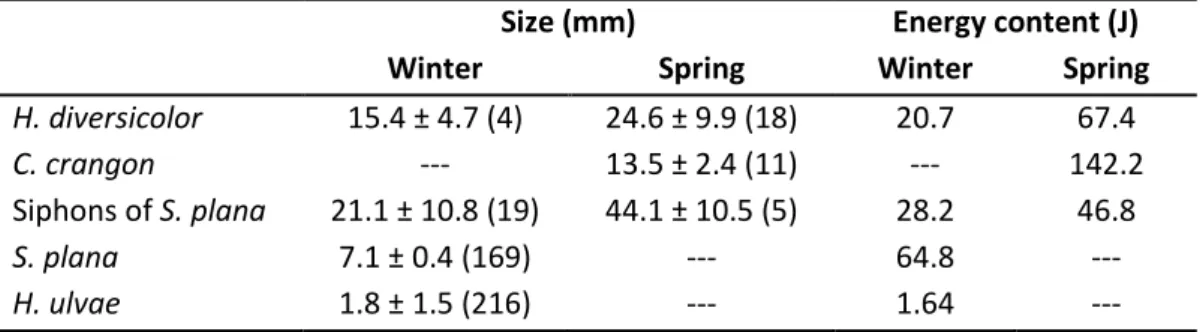 Table  2.2.  Mean  sizes  (±  SD,  sample  sizes  in  parenthesis)  and  mean  individual  energy  content of prey consumed by dunlins in winter and spring
