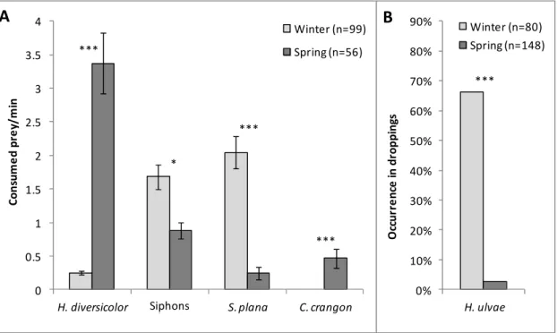 Figure 2.3. Diet of Dunlin in  winter and spring assessed by (A) field observations and (B)  dropping  analyses