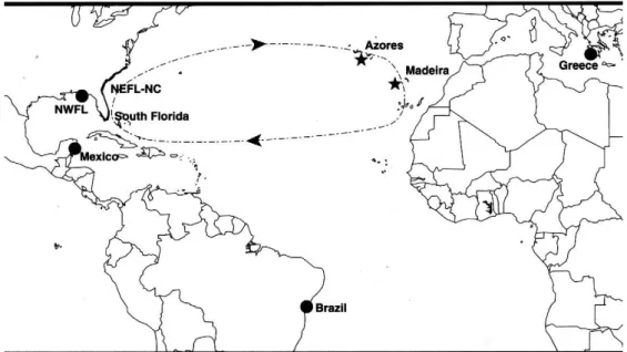 Figure  12  –   Map  showing  locations  of  sin  nesting  populations  of  loggerhead  sea  turtles: 
