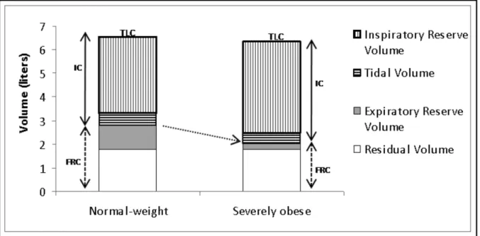 Figura 01: Efeito da obesidade nos volumes pulmonares (SOOD, 2009). 