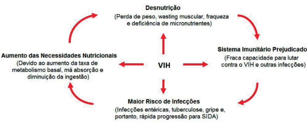 Figura 1: Ciclo vicioso de desnutrição e infecção VIH. HIV e desnutrição estão intimamente 