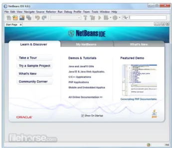 Figura VI.1. Interface do NetBeans. 