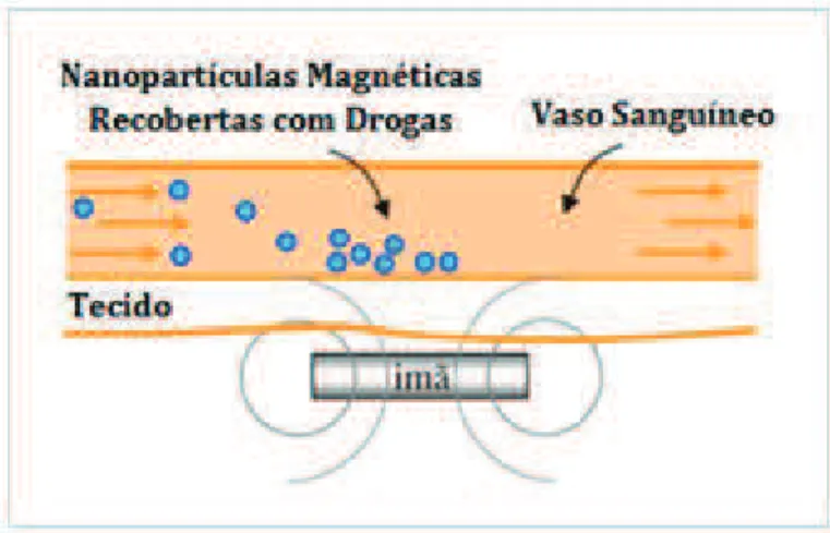 Figura 3 - Representação esquemática do processo de vetorização de medicamentos  utilizando nanopartículas magnéticas e um gradiente externo de campo magnético 
